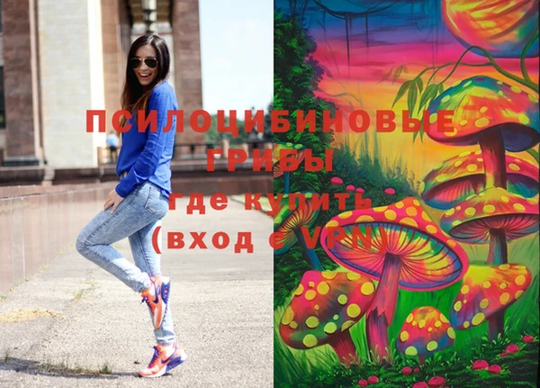 спиды Волоколамск