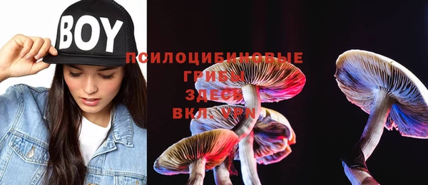 дживик Вязники