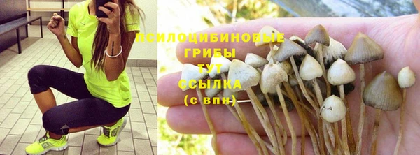 трава Вяземский